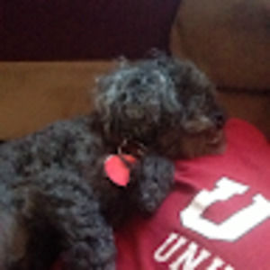 Meet your Posher, Scott